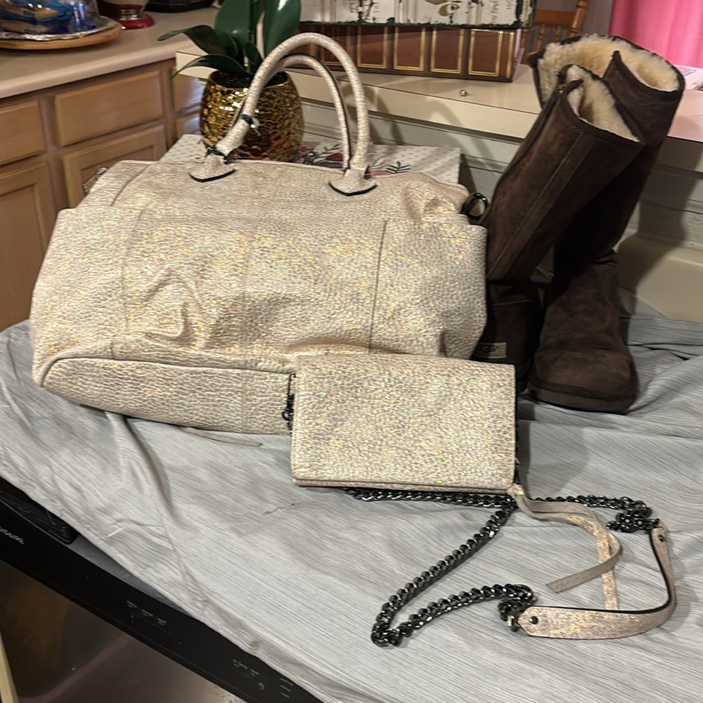 Aimee kestenberg large tote and cross-body clutch